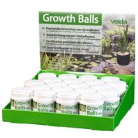 Supergroeibollen XL Velda - Velda - thumbnail