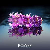 Philipp Plein No Limits Edp Spray 90 ml - thumbnail