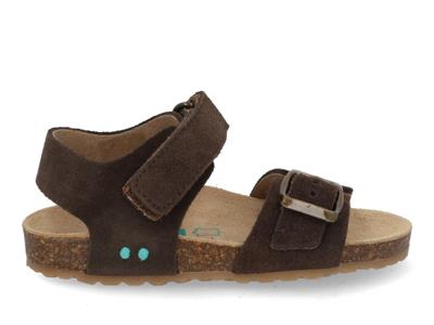 Bunnies Ben Beach 226416 417 dark brown Bruin maat 26 Bunnies Ben Beach 226416 417 dark brown Bruin maat 26