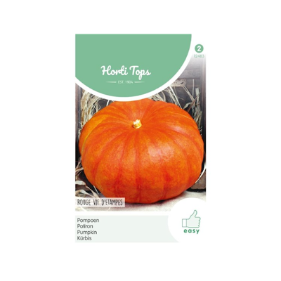 Zaden Pompoenen Rode van Etampes Hortitops - Hortitops