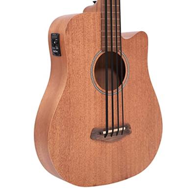 Gold Tone M-BASS25/FL fretloze Microbass met gigbag