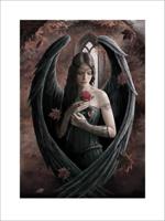 Kunstdruk Anne Stokes - Angel Rose 60x80cm - thumbnail