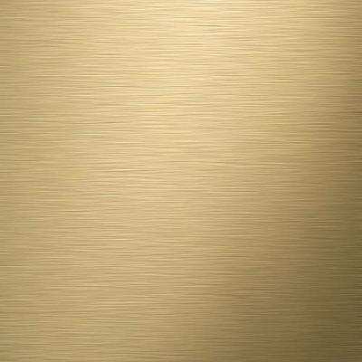 Toiletborstel Met Houder Tiger Tune Mat Zwart met Goud Toiletborstel Met Houder Tiger Tune Mat Zwart met Goud