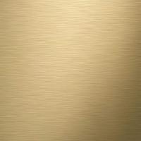 Toiletborstel Met Houder Tiger Tune Mat Zwart met Goud - thumbnail