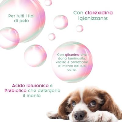 Hondenshampoo Inodorina