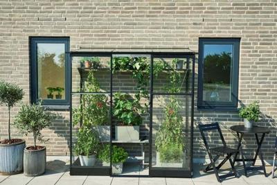 Royal Well Qube aluminium muurkas Lean-to 26 189x65x204 cm zwart met veiligheidsglas- - Veiligheidsglas- Royal Well Royal Well Qube aluminium muurkas Lean-to 26 189x65x204 cm zwart met veiligheidsglas- - Veiligheidsglas- Royal Well