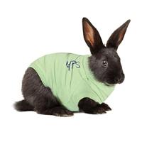 Medical Pet Shirt, Konijn, X-Kleine, Groen - thumbnail