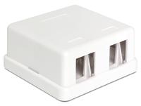 Delock 86207 2 poorten Netwerkpatchpaneel Zonder connectoren 1 HE Wit Niet ingericht - thumbnail