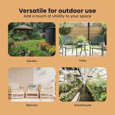 Verhoogde plantenbak 195 x 50 x 68 cm Gegalvaniseerd staal