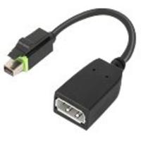 Lenovo 4X90Q93975 Mini-displayport Adapter [1x - 1x DisplayPort] Zwart 0 m - thumbnail