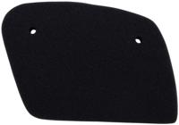 NYPSO Air filter - thumbnail