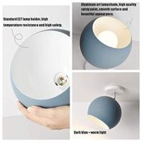 SwingKing klimsteen set kleur, 5st. - thumbnail