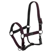 BR Halster Fajah paars maat:cob - thumbnail
