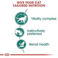 Royal Canin Instinctive 7+ in Gravy (saus) natvoer kattenvoer zakjes 12x85g - thumbnail