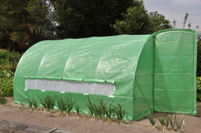 Royal Well foliekas Silver Rocket D12 Royal Well foliekas Silver Rocket D12