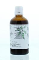 Natura Sanat Fraxini / populus compl tinctuur (100 ml) - thumbnail