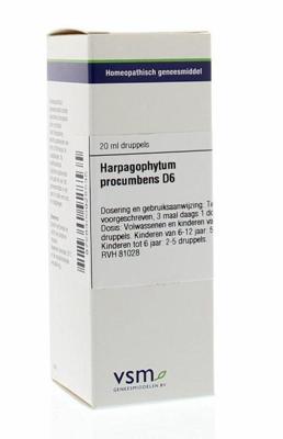 VSM Harpagophytum procumbens D6 20 Milliliter