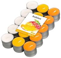 Bolsius Geurtheelicht multi colour brick 30 mango 18 Stuks - thumbnail