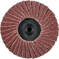 PFERD TOOLS 47202528 CDR PFF 50 A 60 Lamellenschijf Diameter 50 mm Korrelgrootte (num) 60 Brons, Titanium, Titaniumlegering, Koper, Messing, RVS, Grijs/grauw - thumbnail