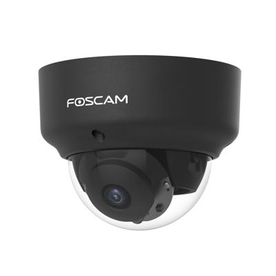 Foscam D2EP beveiligingscamera