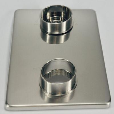 Afbouwdeel tbv douchekraan Wiesbaden Caral | Thermostaatkraan | 2-weg | Rond | Geborsteld staal PVD