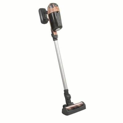 Rowenta X force flex aspi balais goud