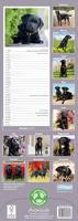 Black Labrador Retriever Slim Calendar 2026 Dog Breed Slimline Calendar - 12 Month - thumbnail