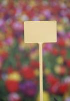T-etiketten geel 34cm set a 5 stuks Nature - Nature - thumbnail
