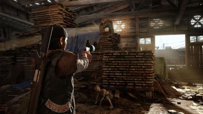 Days Gone Special Edition