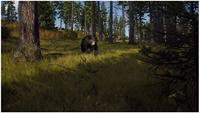 Way of the Hunter - thumbnail