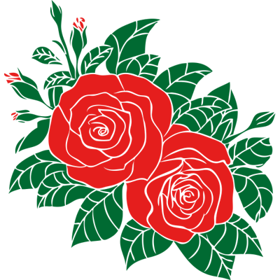 Rozen - Muursticker Rozen - Muursticker