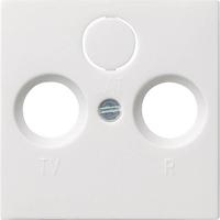 Gira inzetplaat centrale antenne mat wit - thumbnail