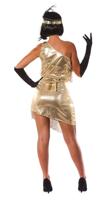 Gouden Charleston kostuum franjes - thumbnail