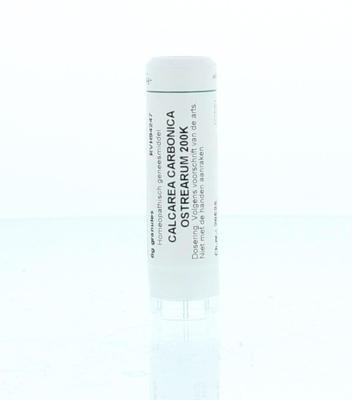 Homeoden Heel Calcarea carbonica 0 200K 6 Gram