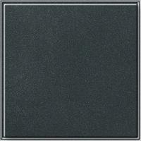 Gira TX 44 Blindplaat antraciet - thumbnail