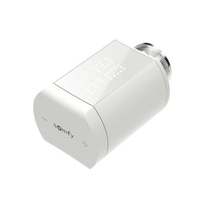 Somfy 1870508 1870508 Draadloos alarmsysteem (uitbreiding) Draadloze thermostaat