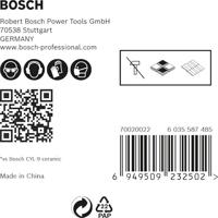 Bosch Accessoires Expert HardCeramic HEX-9 boorset voor dakpannen 5 mm 5-delig - 1 stuk(s) - 2608900598 - thumbnail