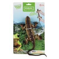 Reptiel levensecht op kaart - thumbnail