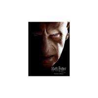 Harry Potter Glass Poster Voldemort 30 x 40 cm - thumbnail