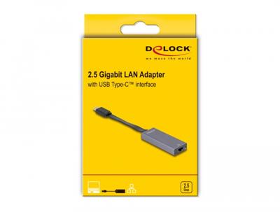 DeLOCK usb-c > 2.5 gigabit lan slim netwerkadapter (grijs)