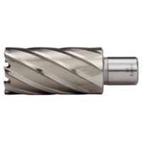 Makita HB32L | Kernboor HSS 32x50mm | Weldon - thumbnail