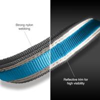 Riem Kurgo Quantum Orange Nylon - thumbnail