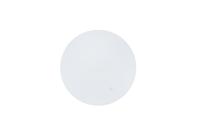 Fossil Horlogeglas (vlak) CH2564 - thumbnail