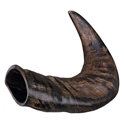 TRIXIE TX-27743 Buffalo Kauwhoorn Groot