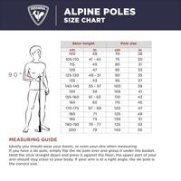 Rossignol Tactic Skistok Heren Grey 125 - thumbnail