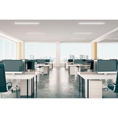 Signify 45981600 Gloeilamp-lamp Energielabel E (A - G) G13 Buis 20 W Neutraalwit (Ø x l) 28 mm x 1514 mm 1 stuk(s) Signify 45981600 Gloeilamp-lamp Energielabel E (A - G) G13 Buis 20 W Neutraalwit (Ø x l) 28 mm x 1514 mm 1 stuk(s)