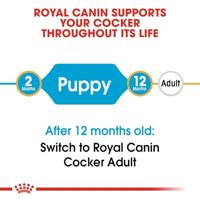Royal Canin Puppy Cocker Spaniel hondenvoer 3 kg - thumbnail