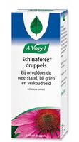 A Vogel Echinaforce druppels 100 Milliliter - thumbnail