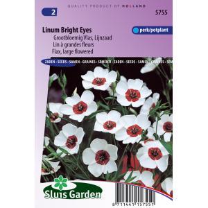 Linum Grandiflorum zaden Bright Eyes vlas