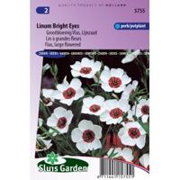 Linum Grandiflorum zaden Bright Eyes vlas - thumbnail